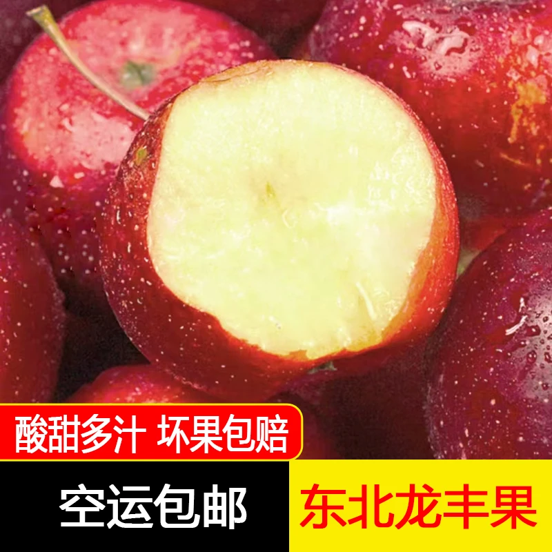 东北特产龙丰果 秋果 酸甜多汁脆爽孕妇水果现摘2/3斤空运包邮