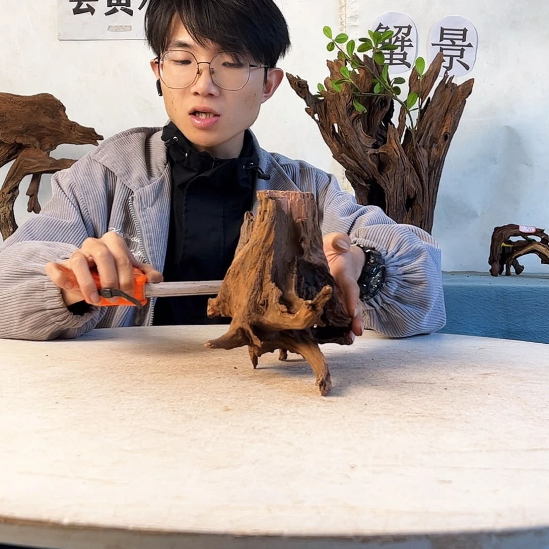 26.16.18 沉木造景爬宠造景