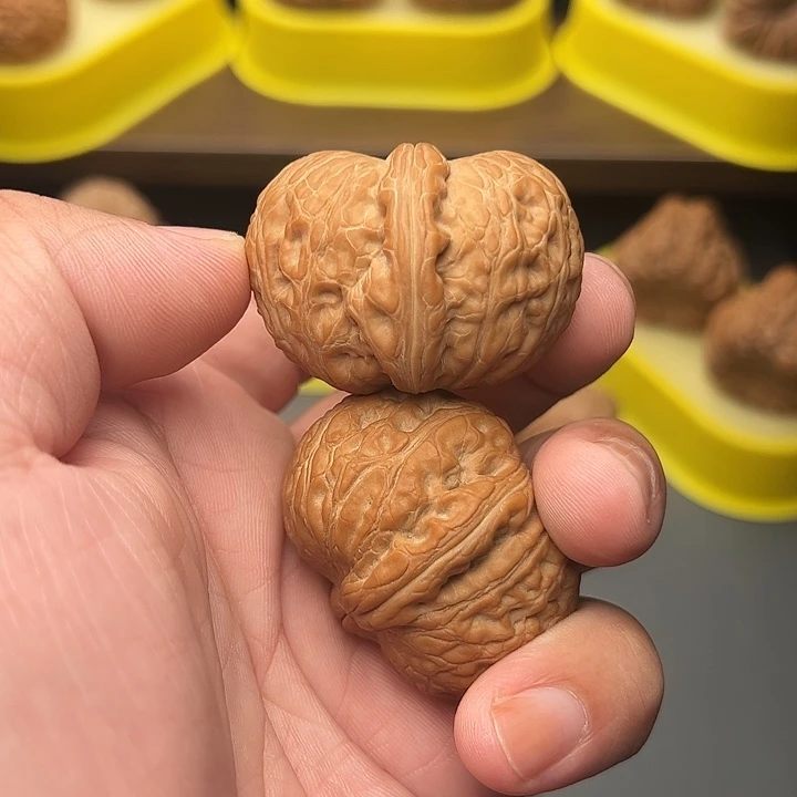 43尺精配头货全品毕业元宝
