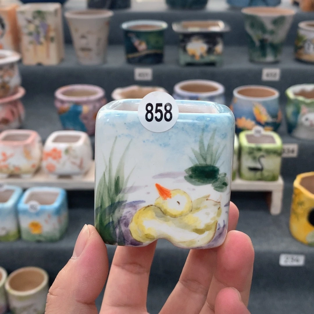 罐8月活动节专场