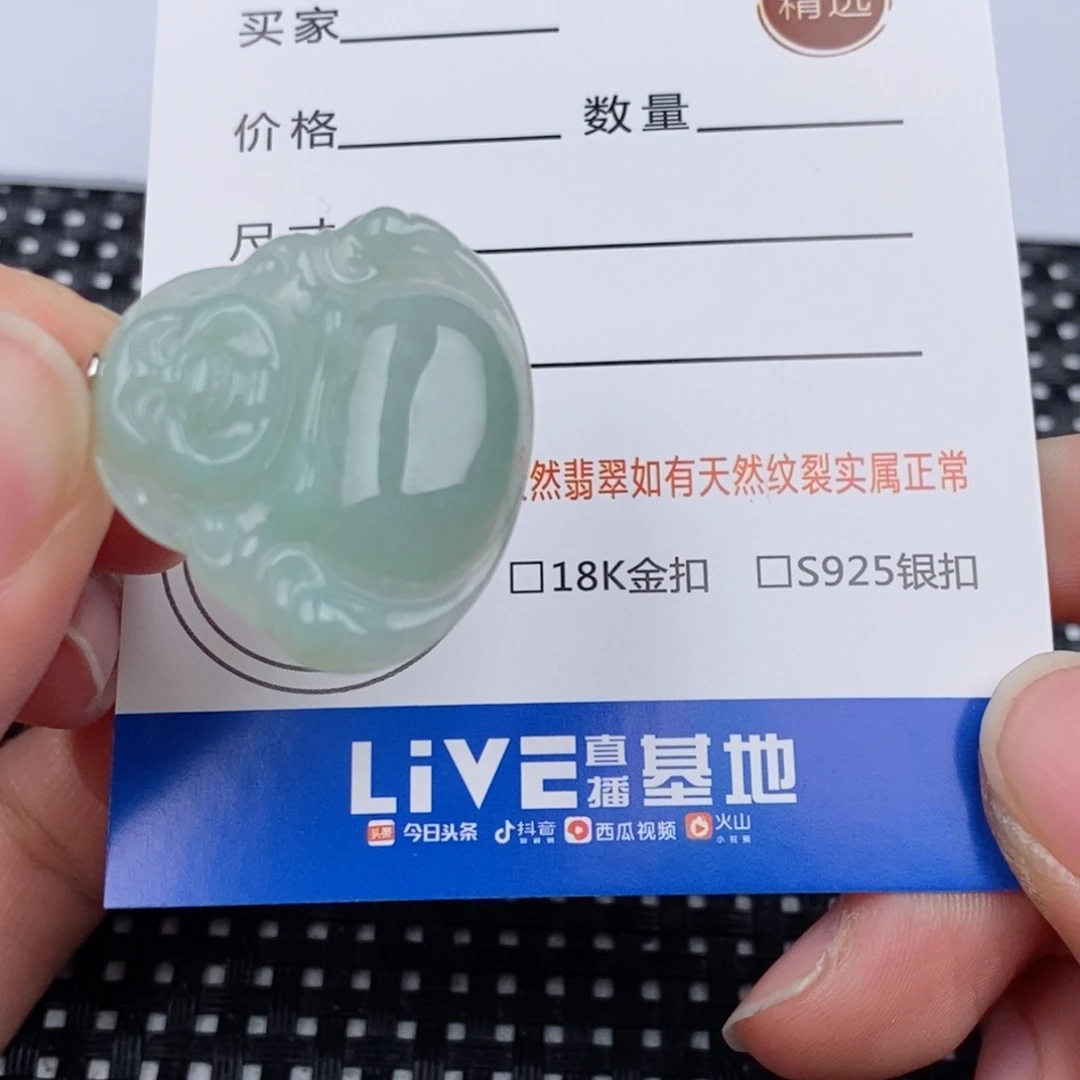 翡翠银S925镶嵌颈饰