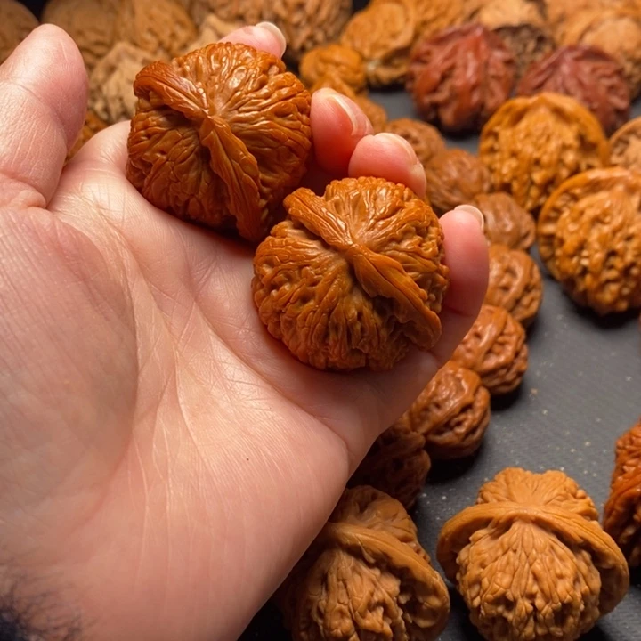 秦岭野生111111111