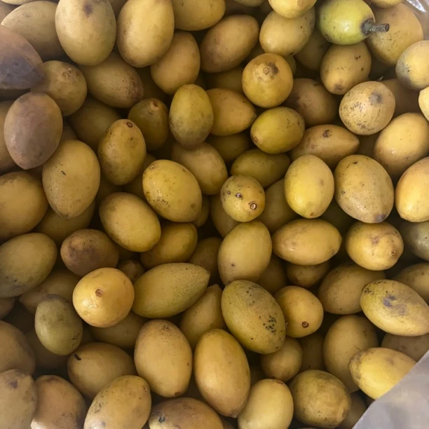 潮汕新鲜花皮香种橄榄 生吃煲汤泡酒现摘现发2斤起