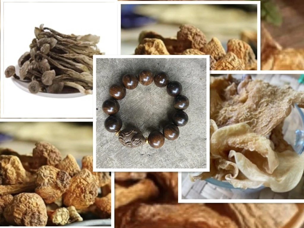 【中越收山货】A0503 重量60g