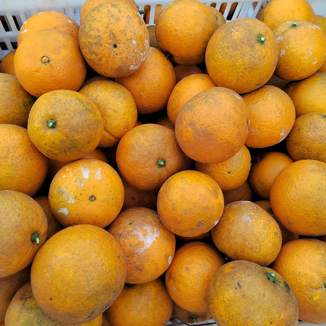 【花皮果】江津西湖镇卡拉卡拉红肉脐橙5斤装不抛光不打腊自己吃