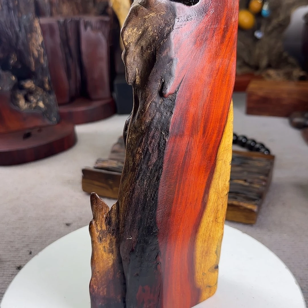 大果紫檀（缅甸花梨）养****儿