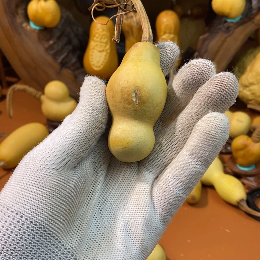 言***非啦啦教练咯教练教练咯