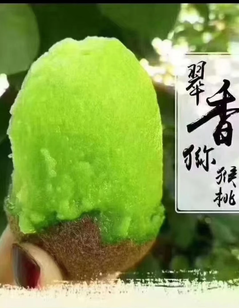 周至翠香猕猴桃新鲜应季多汁香甜孕妇水果礼品果