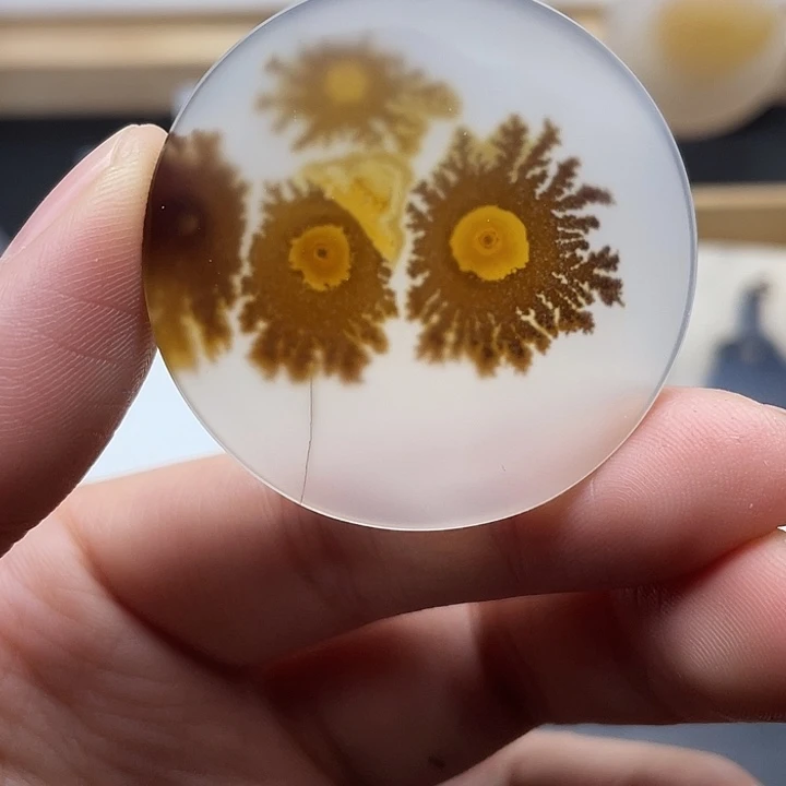 海***洋玛瑙/玉髓未镶嵌颈饰