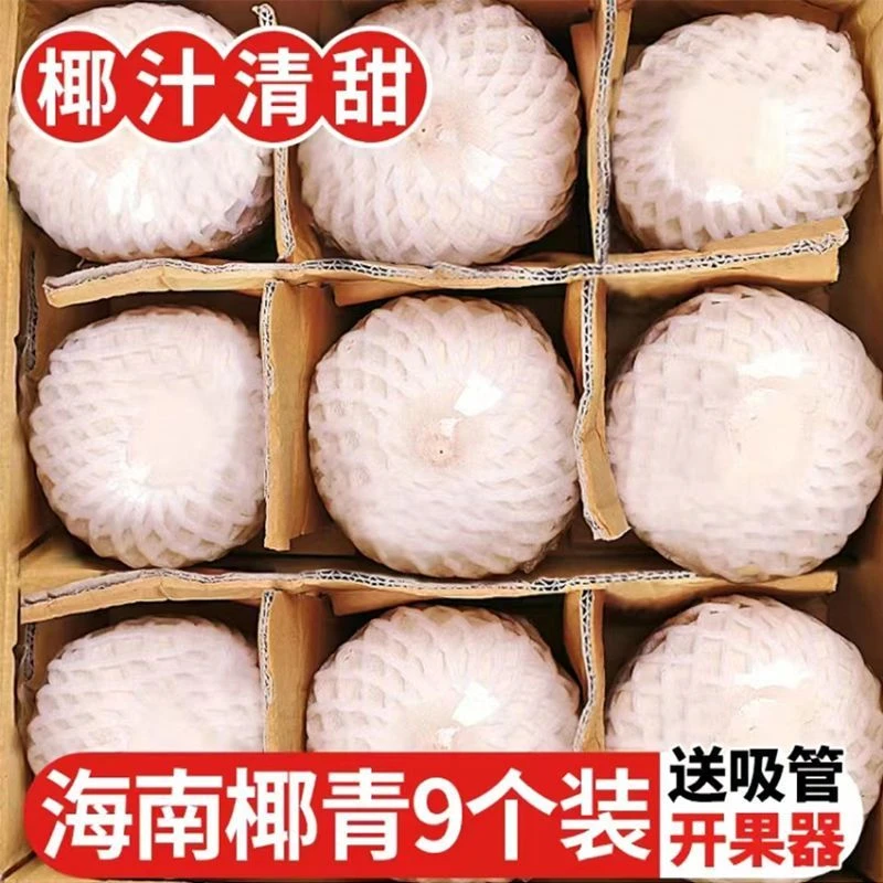【直播间专享】海南新鲜椰子削皮椰青9个装（冷藏口感更佳）2