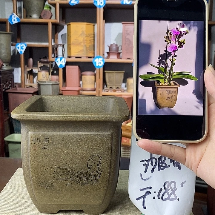 紫砂花盆鲨皮青四方