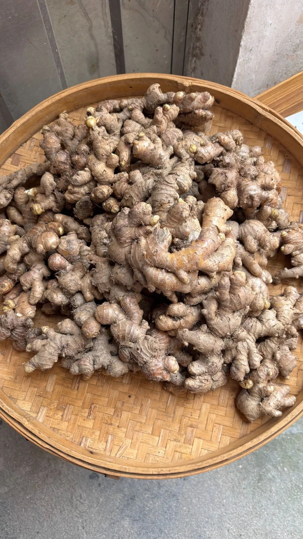 农家生姜老姜乡村土货