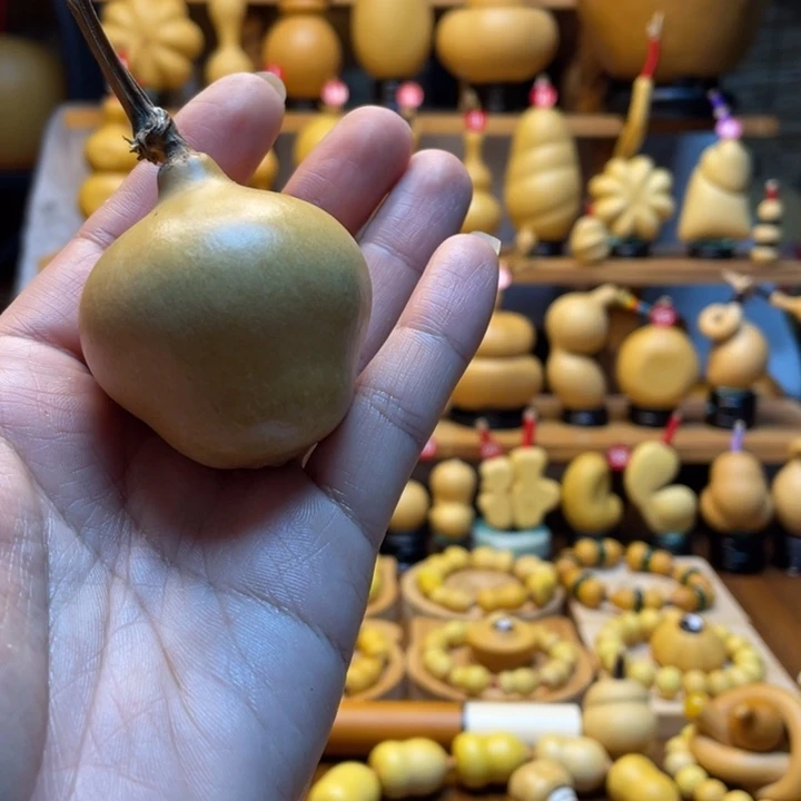 小***椒天然葫芦自然生长