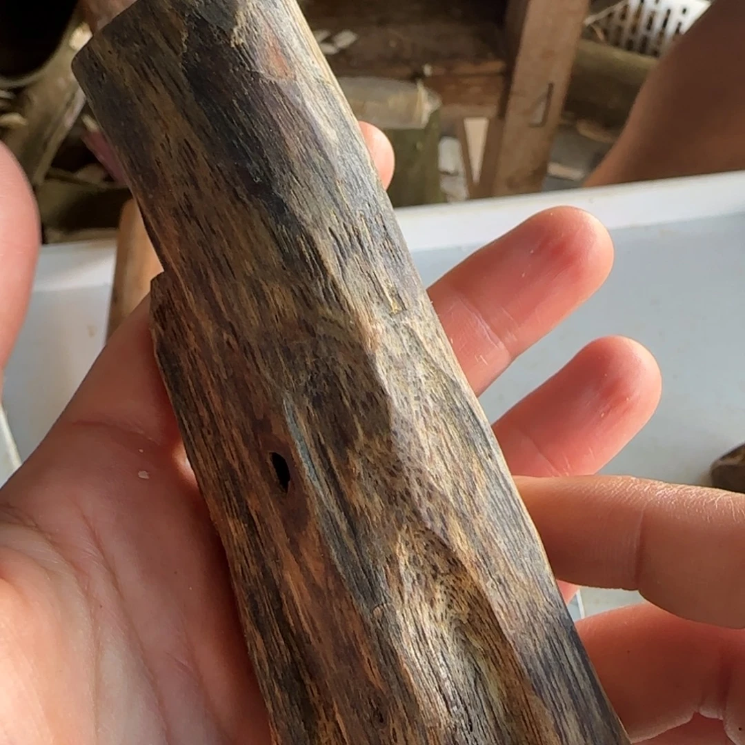 沉香沉香碎屑精品虫漏一根