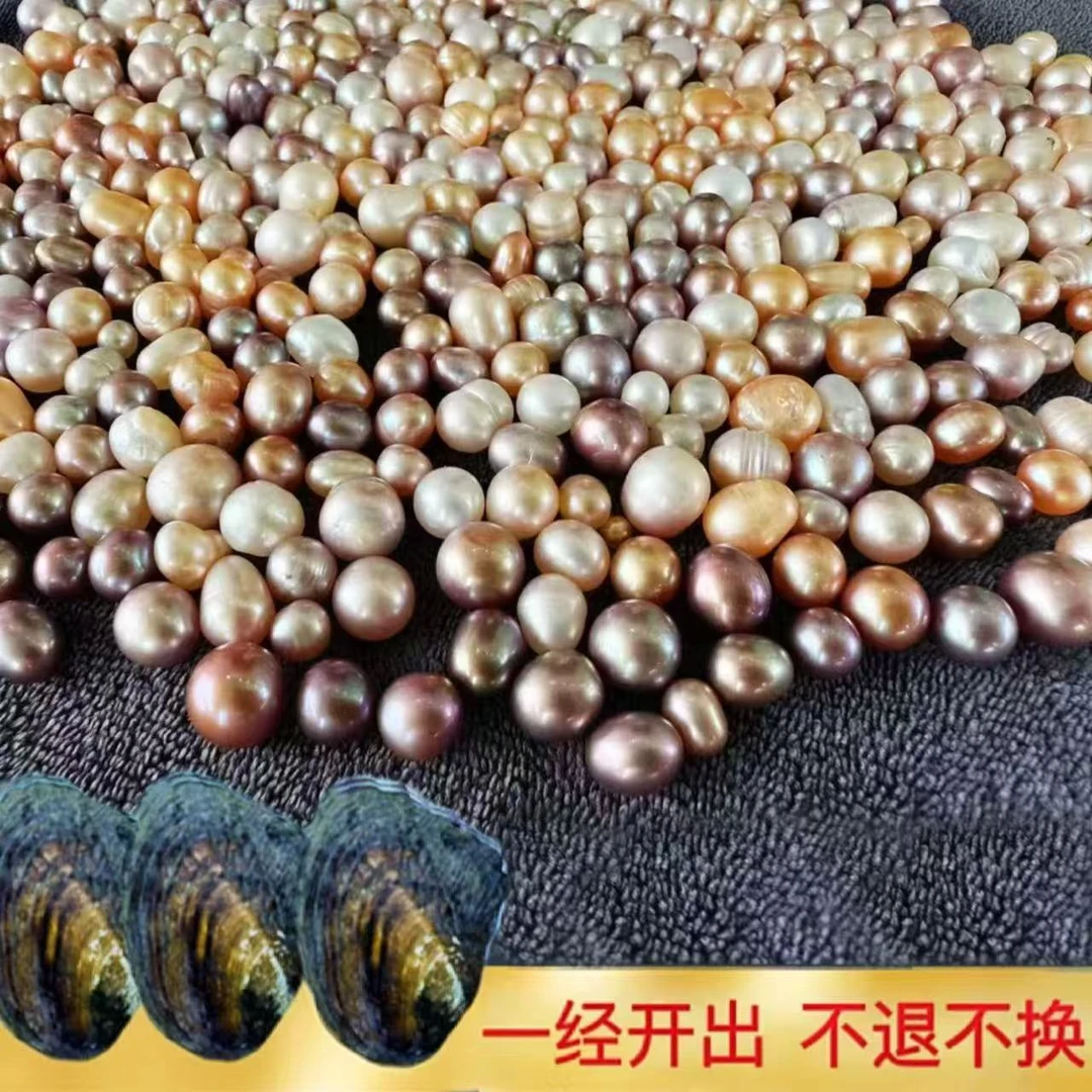 帝王多珠蚌（每蚌保10颗）可定制打孔