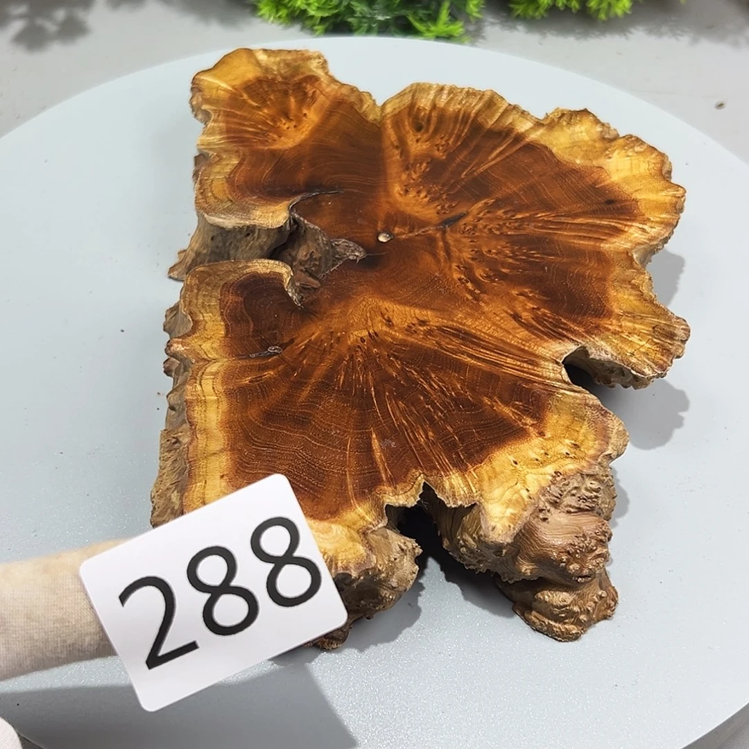 梨木小*儿麻梨疙瘩……