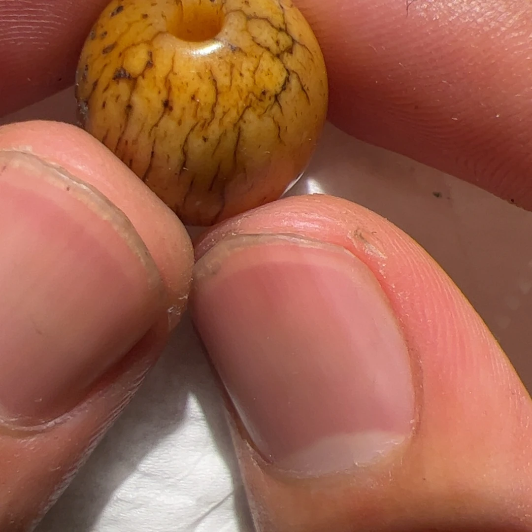 玻璃项圈你在一起