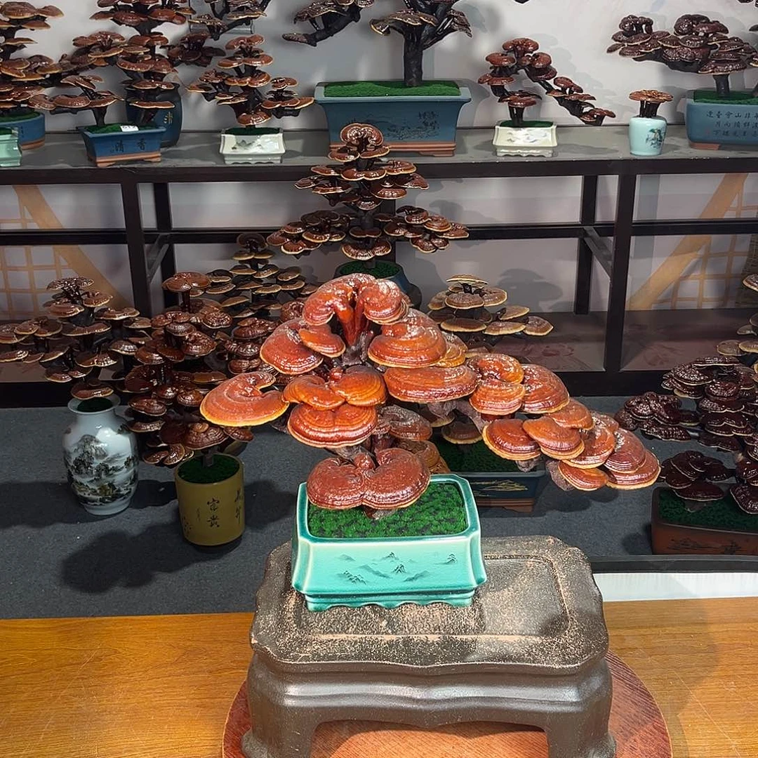 无花朵万事如意8888888888888