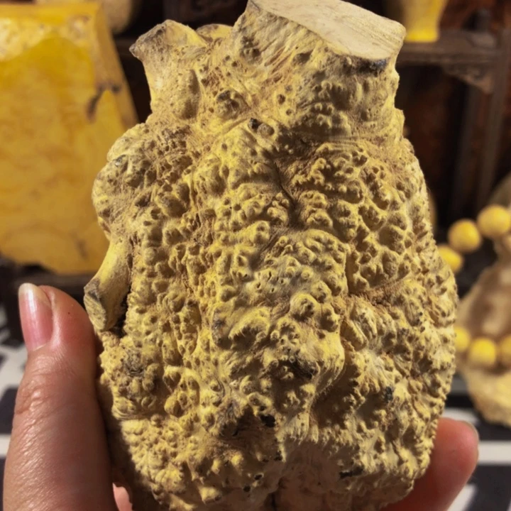 木一**去木料木料木啊木料