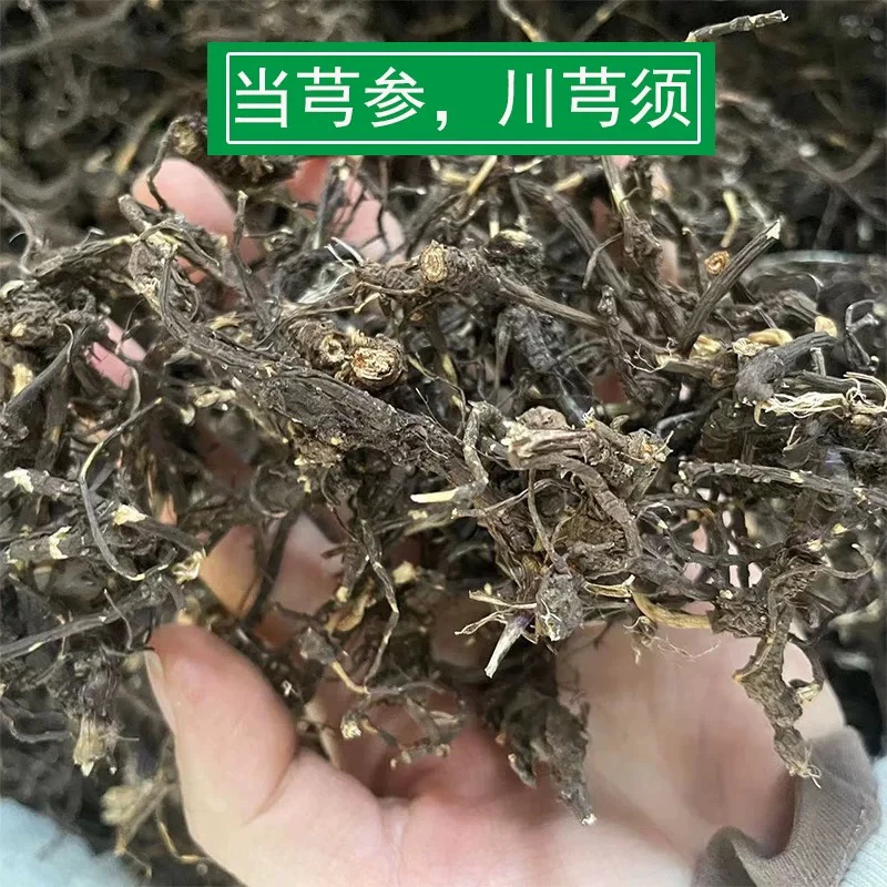 香格里拉龙须参 当穹参 小叶川芎 岩川芎