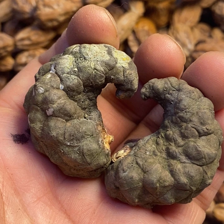 文玩核桃吊坠东北特产70