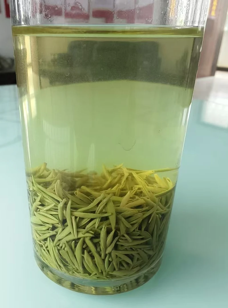 2025信阳毛尖高山明前小米芽