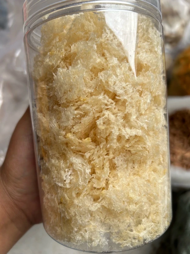 云南特产.草本银耳菇