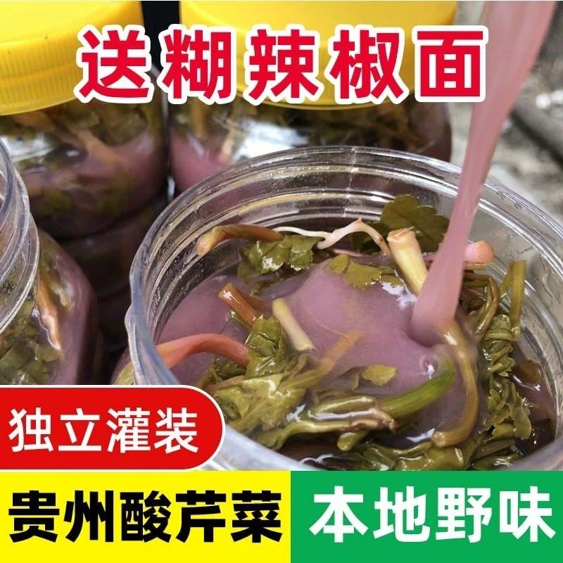 贵州特产酸芹菜农家自然发酵野生细叶芹下饭泡菜时令蔬菜开胃酸菜