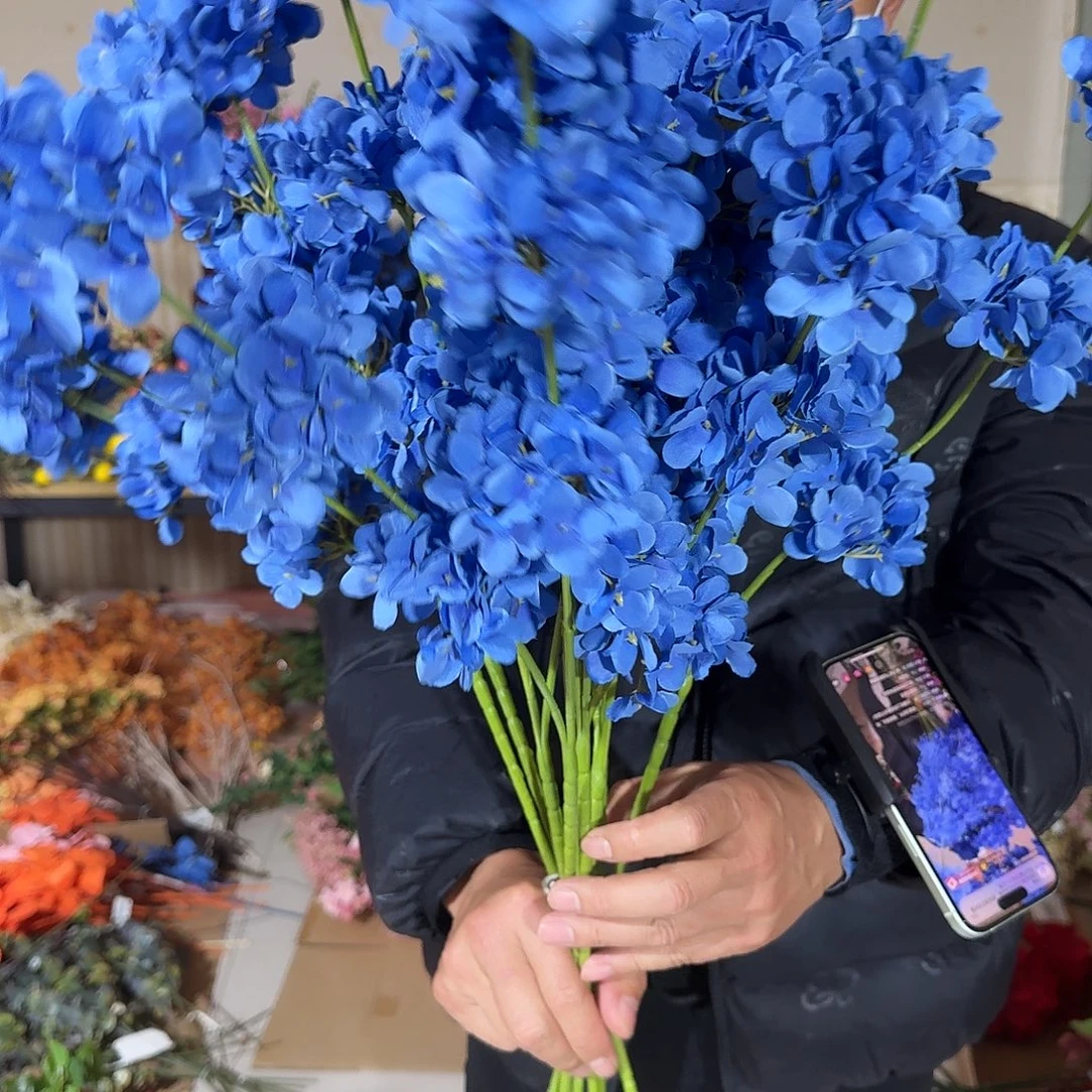 八头蓝色木绣球5支