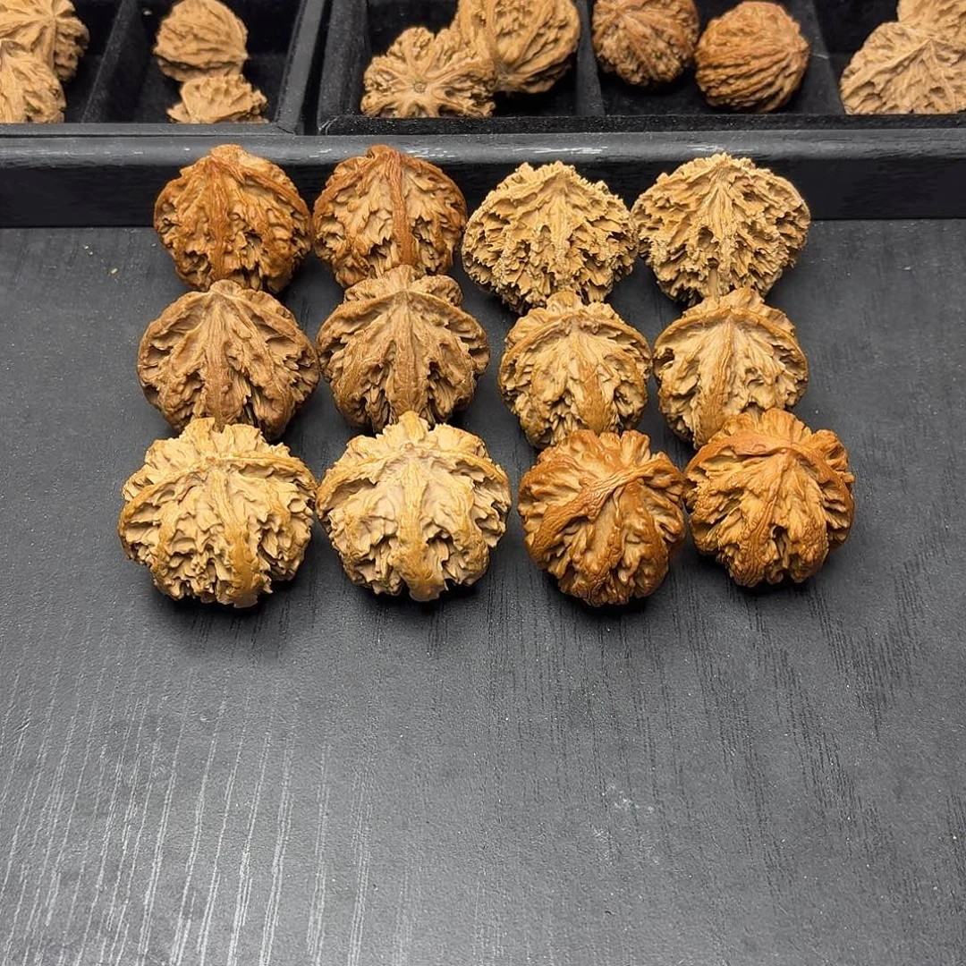 桃木突突突突突突突突