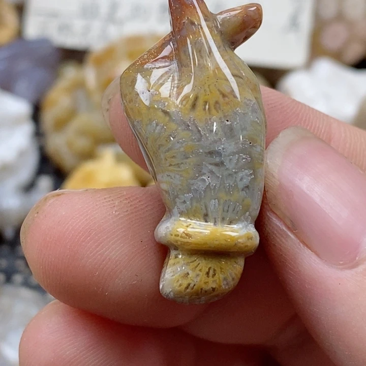 颈饰未镶嵌硅化珊瑚（珊瑚玉）