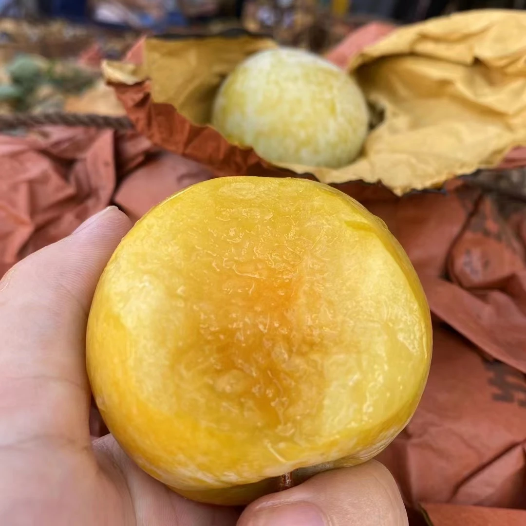 乐昌冰糖李桃花李应季新鲜水果蜂糖李黄金奈李恐龙李现发只发广东