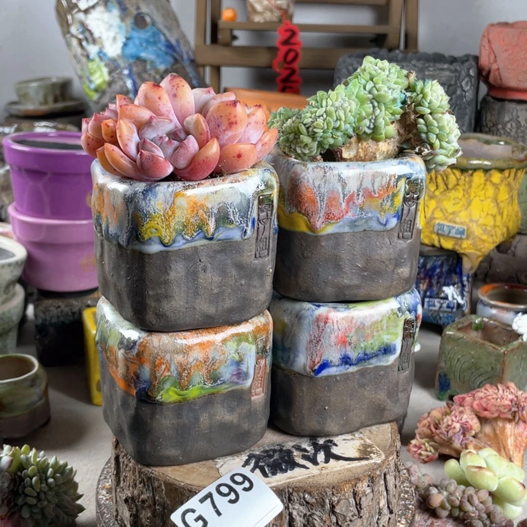 紫砂花盆开播福利 陶瓷花盆 任意发一个