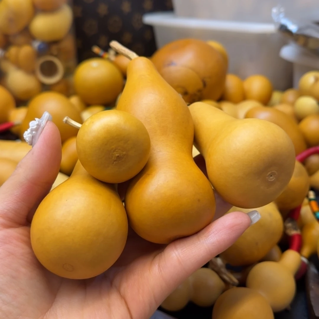 木***)哈哈哈哈哈哈哈哈哈