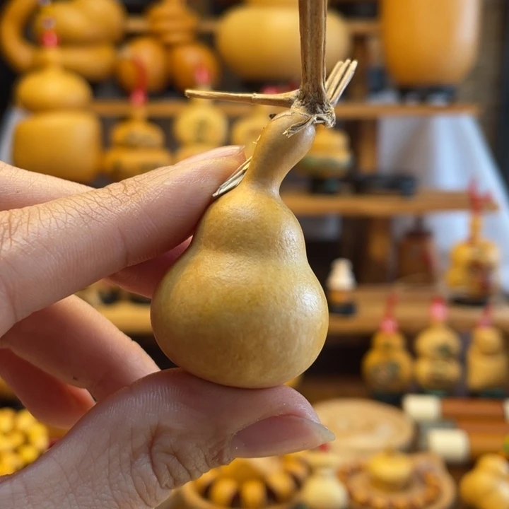 n**e天然葫芦自然生长