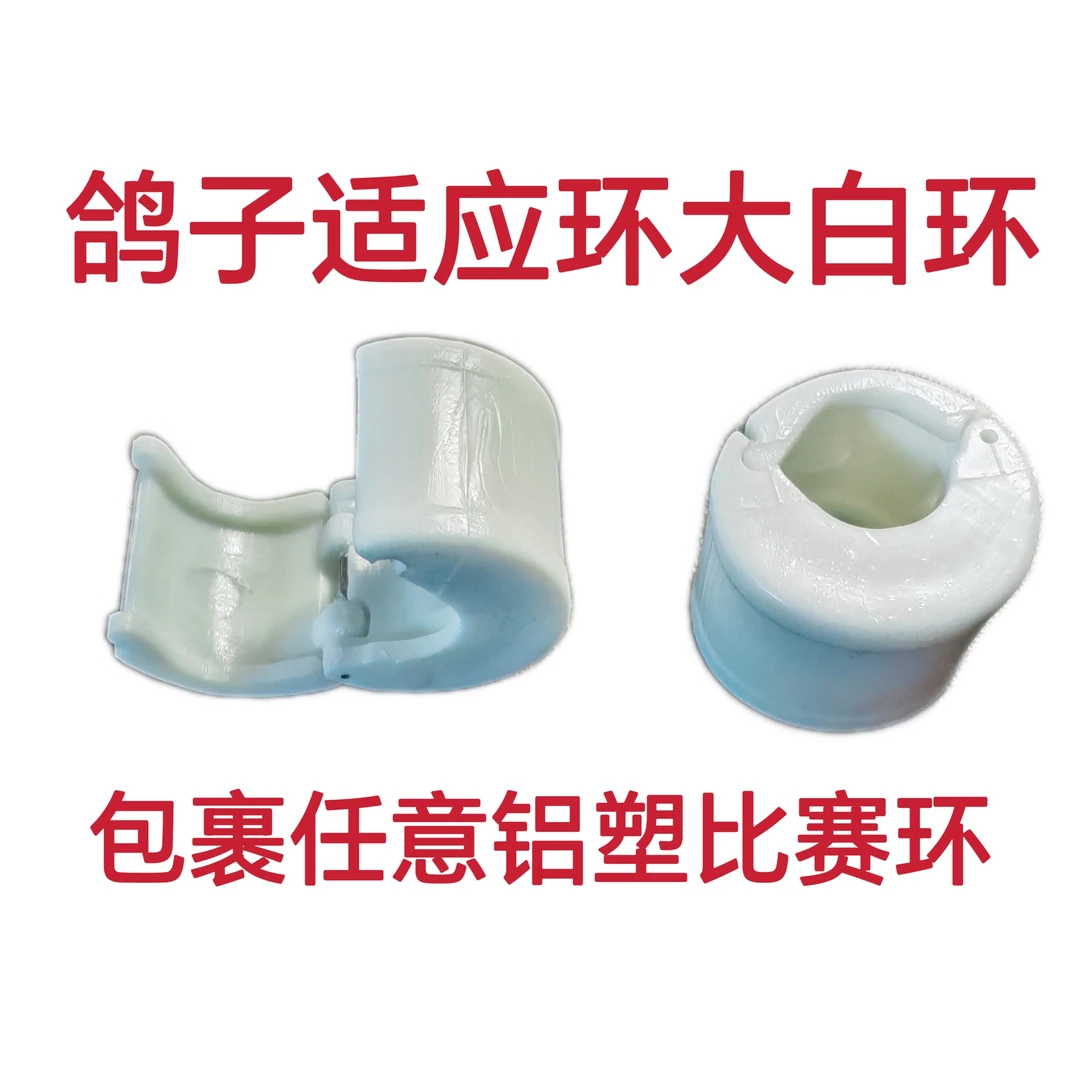 鸽子适应环圆柱形大白环重量2.5克赛鸽提前适应家飞训练