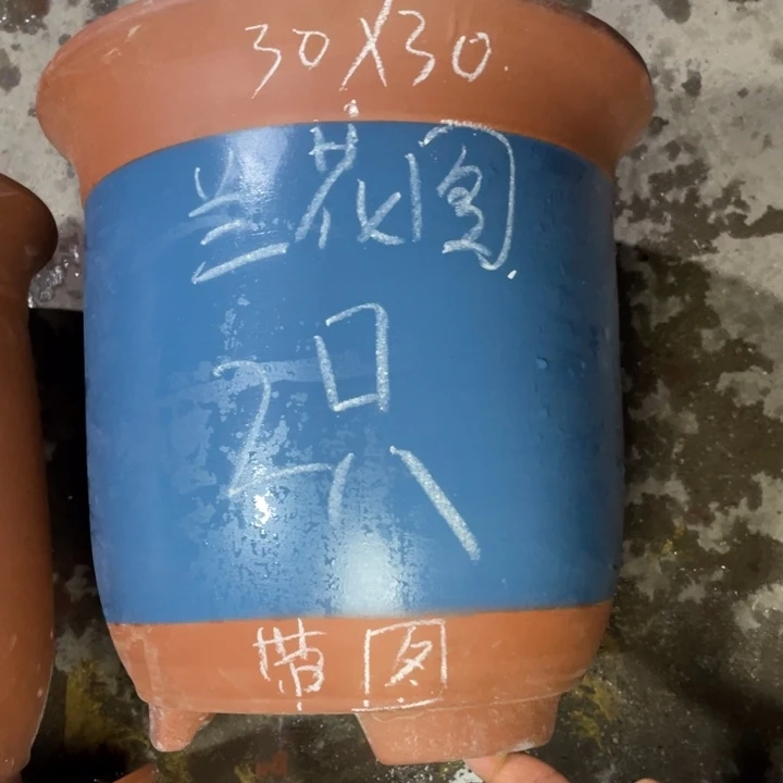 周深周深周深周深