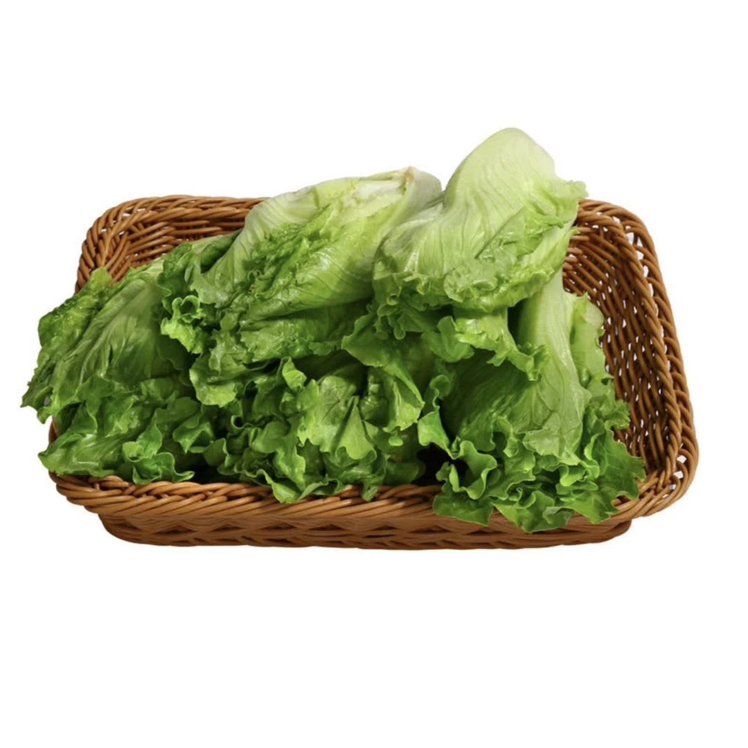 供港生菜 600g