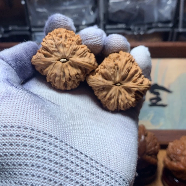 独***鱼哈哈哈哈哈哈哈哈哈