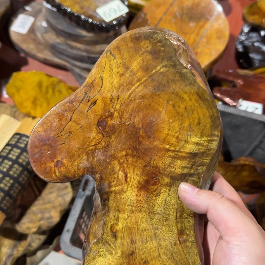樟科（黄金檀）黄金樟干泡