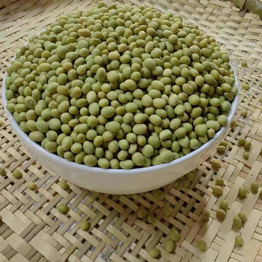 【小钱哥专属】农家自种青皮黄豆