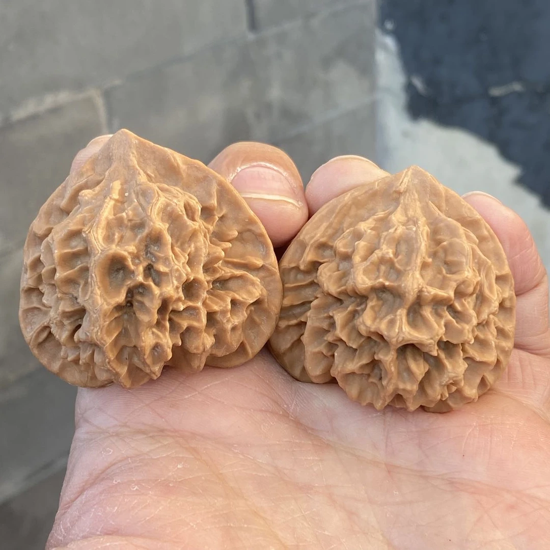 【佳哥严选】J15681-核桃龙纹狮子头-多样性发一件-45mm以上