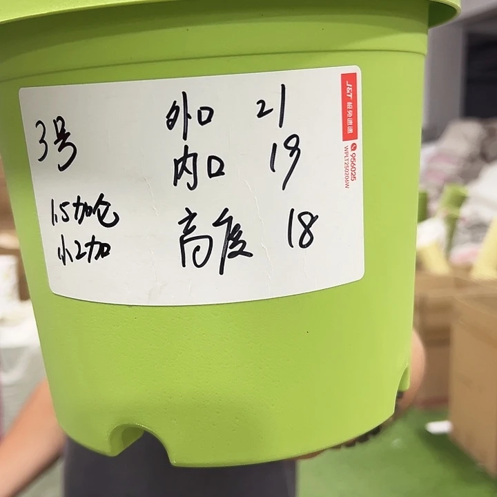 特价3号四季口21高18混色10个无托