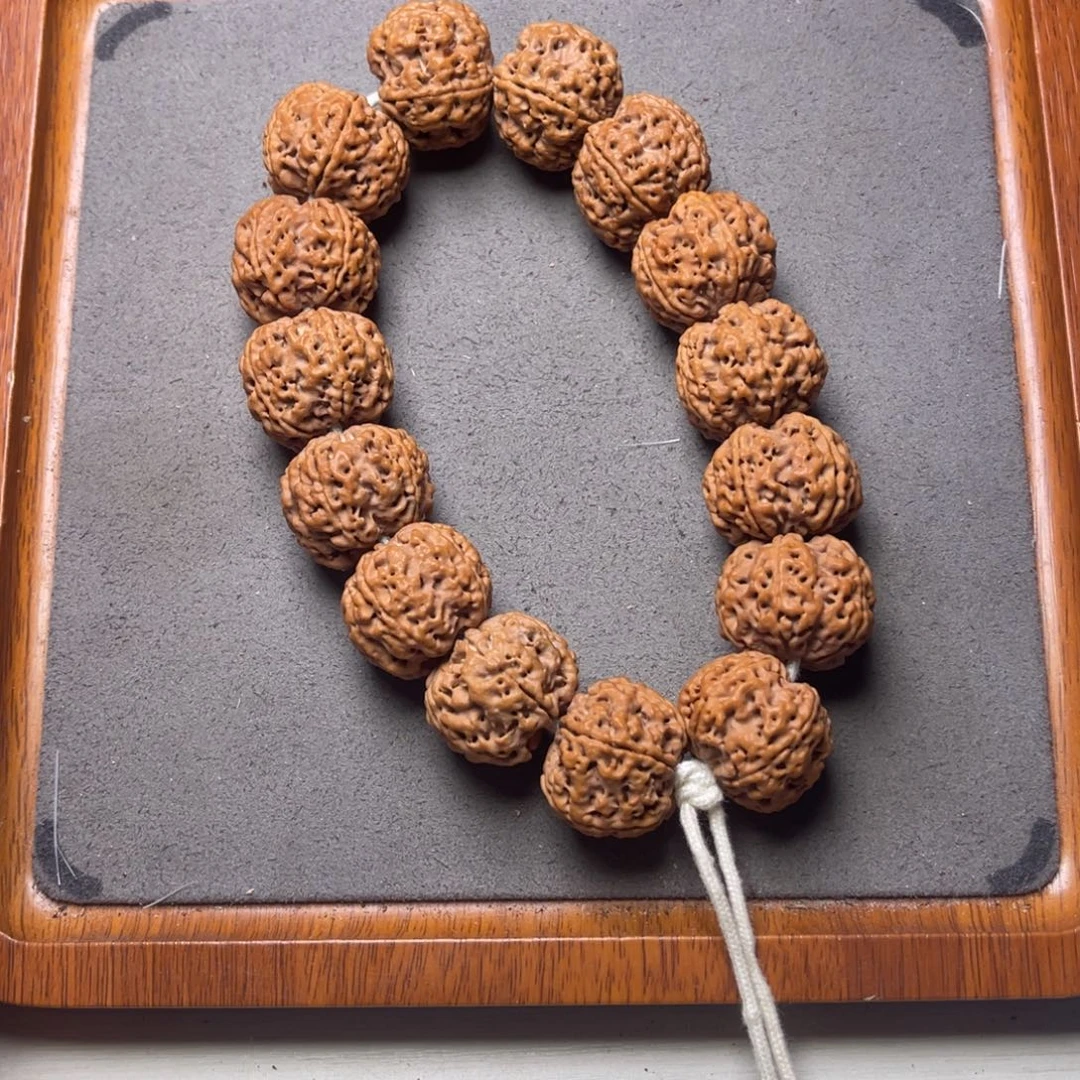 菩提11号金刚菩提梅花豆腐块23