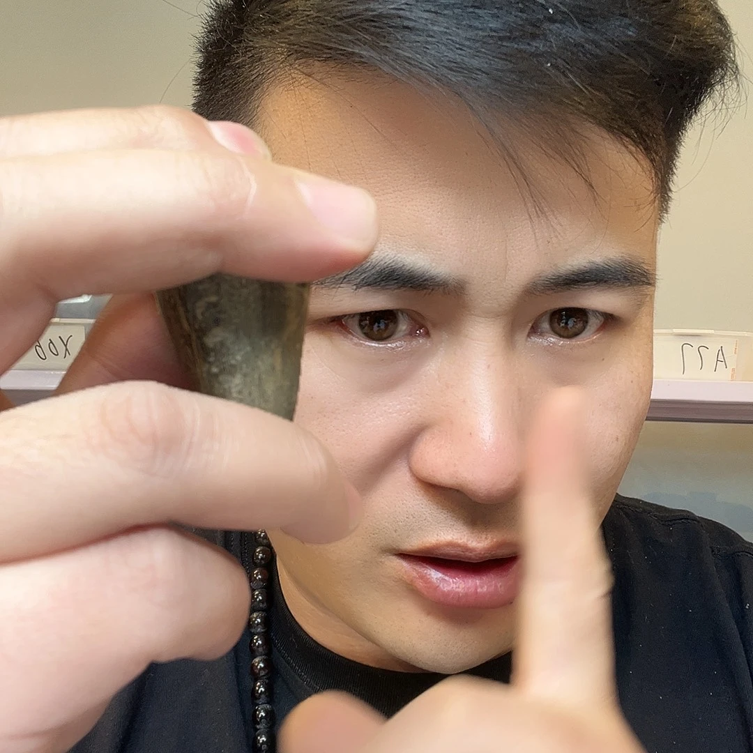 缅甸花梨（花梨木类）X345