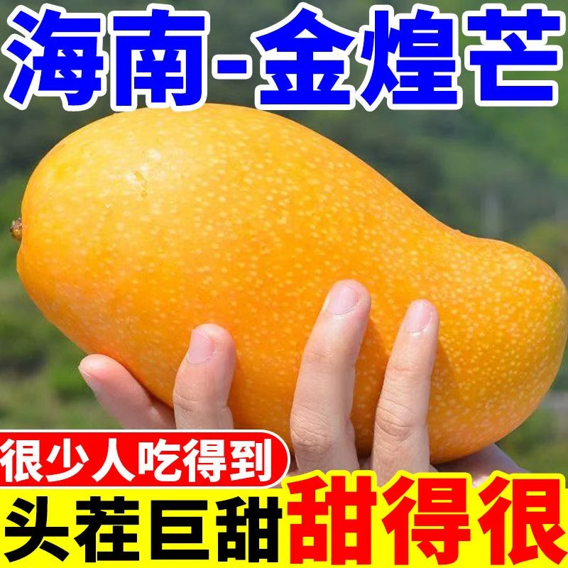 【次日达商超品质】正宗海南金煌芒2斤3斤5斤多肉水果新鲜芒果