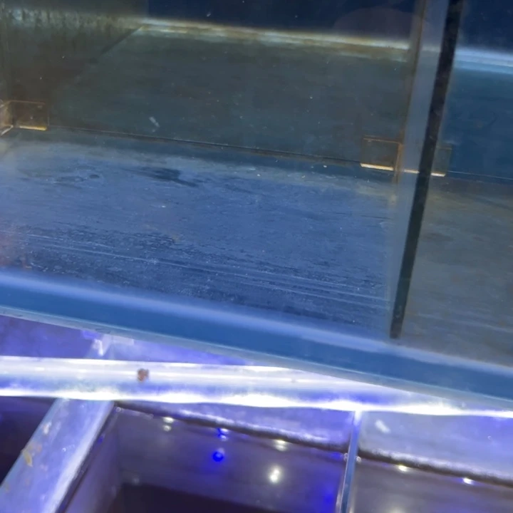 海水鱼三湖慈鲷，热带淡水鱼