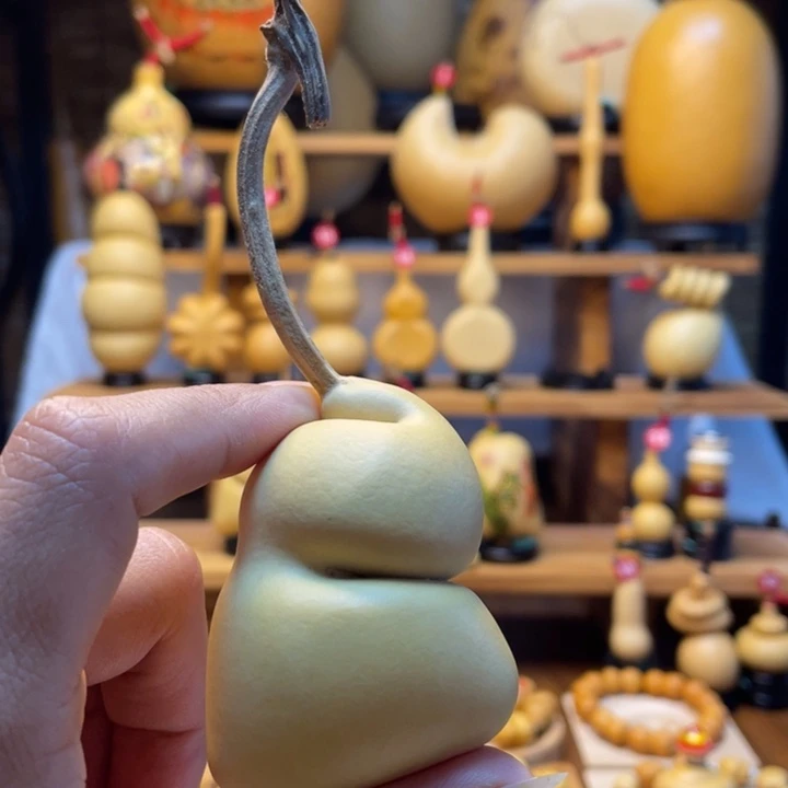 用***5天然葫芦自然生长