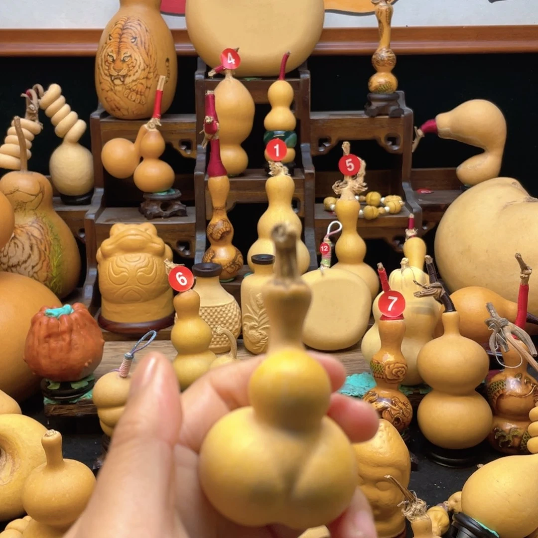 休*大自然的秘密是什么呢