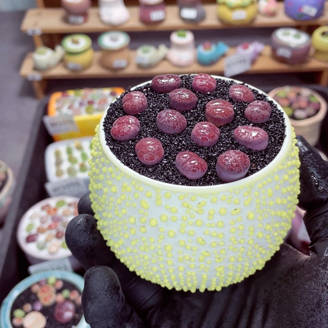 夜间零下地区拍保温箱w5112